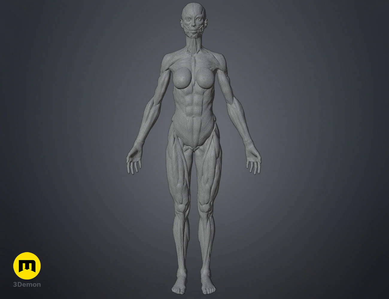 Thumbnail 10