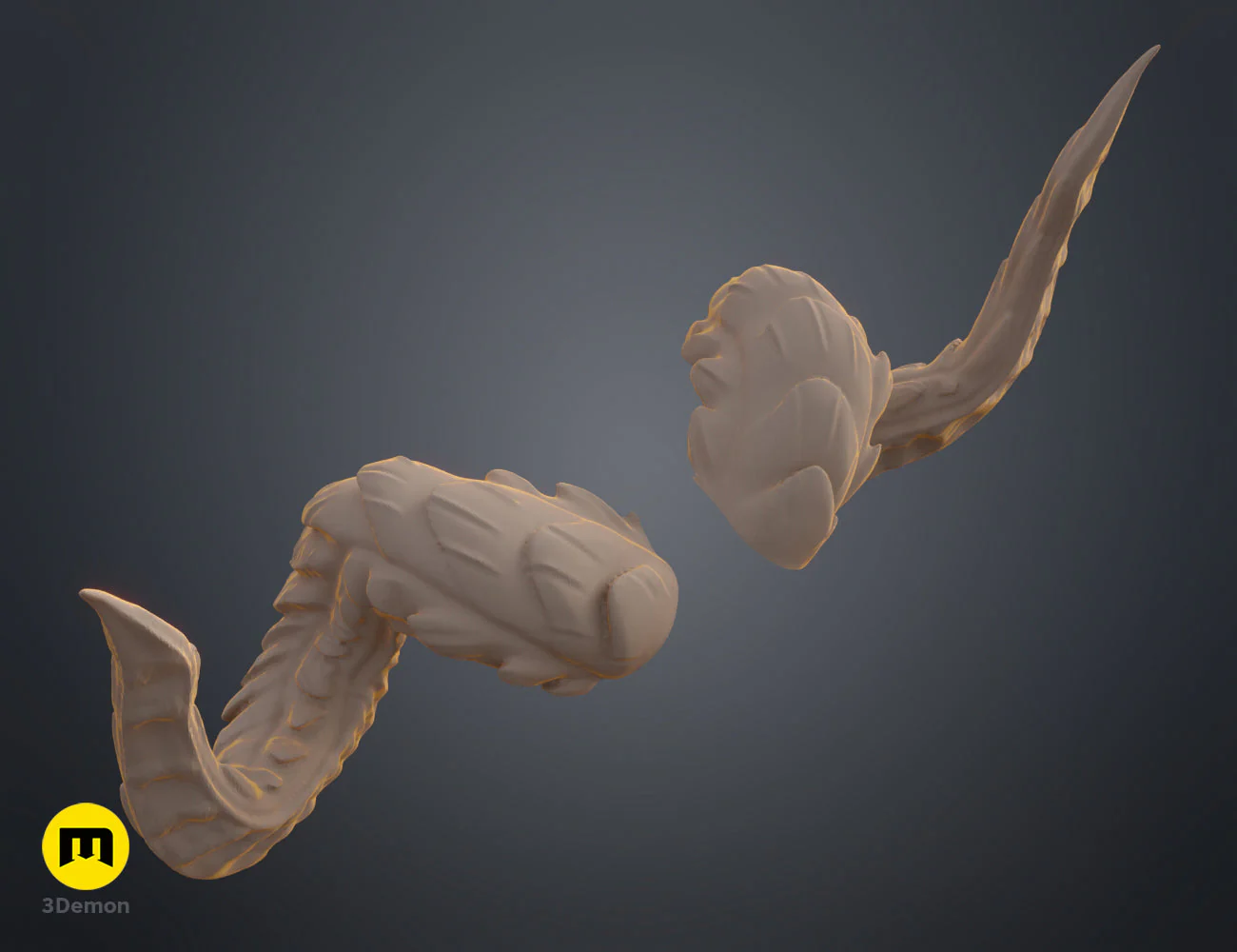 Thumbnail 12