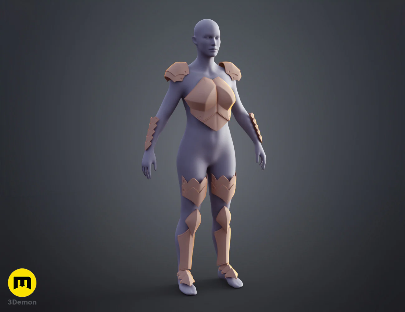 Thumbnail 7
