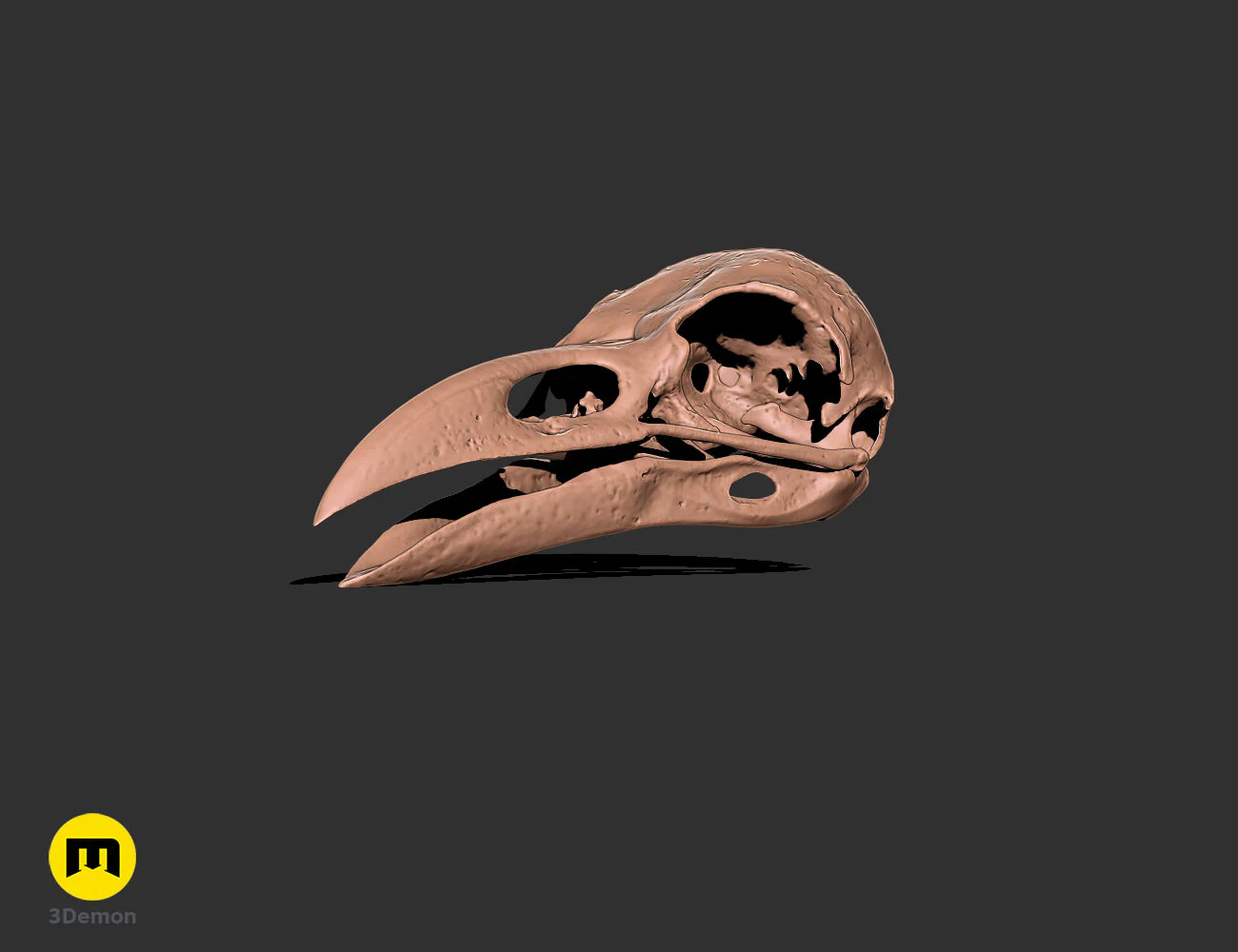 Thumbnail 14