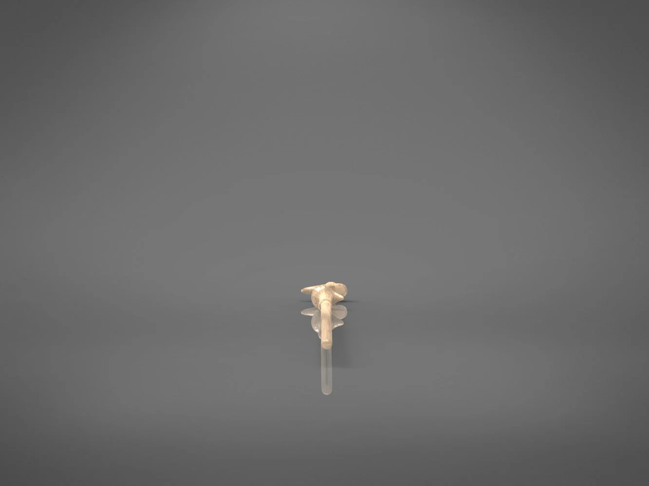 Thumbnail 15
