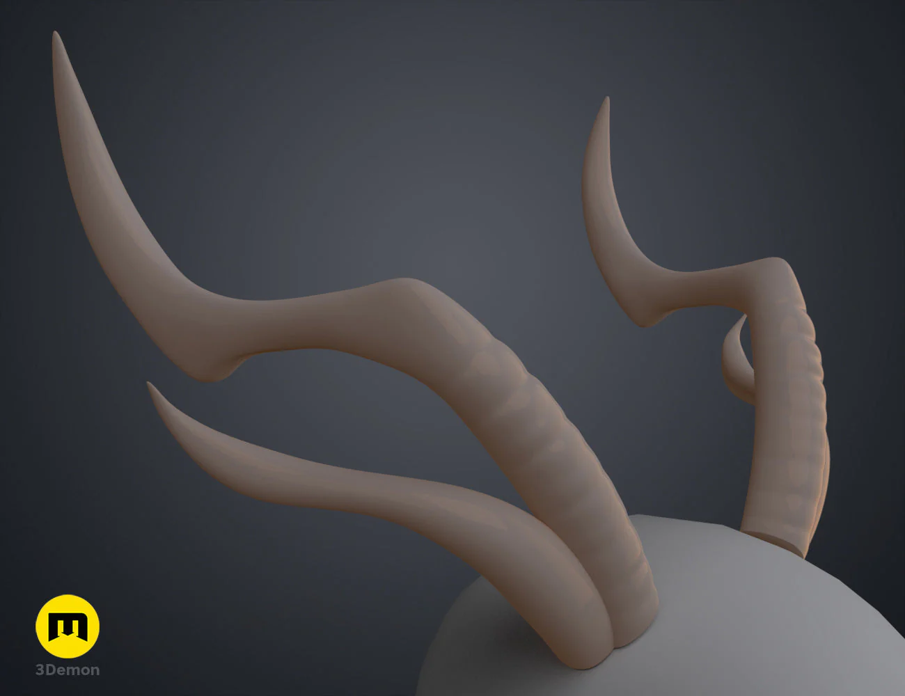 Thumbnail 12